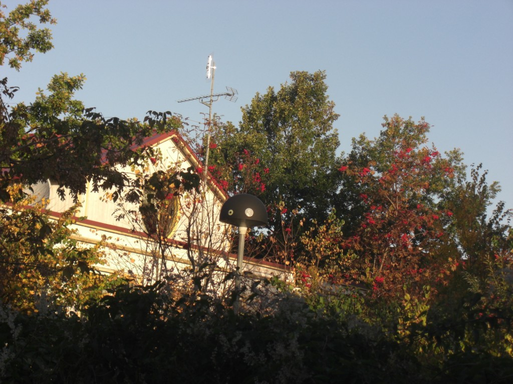 CIMG0768