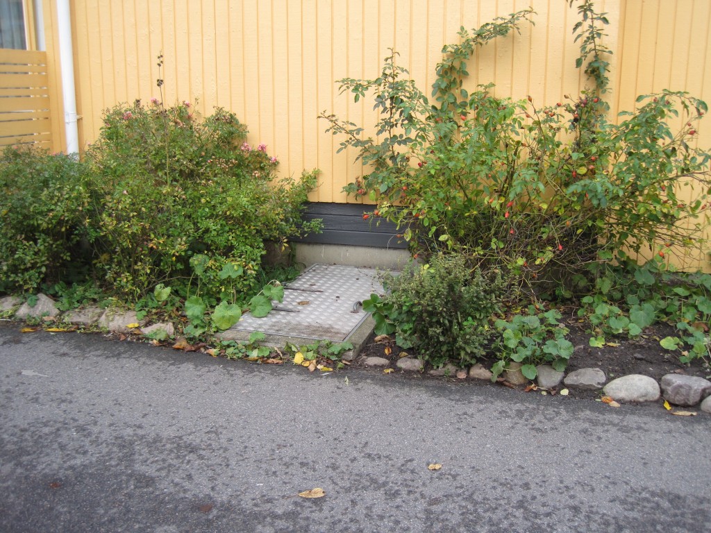 krypgrundliten