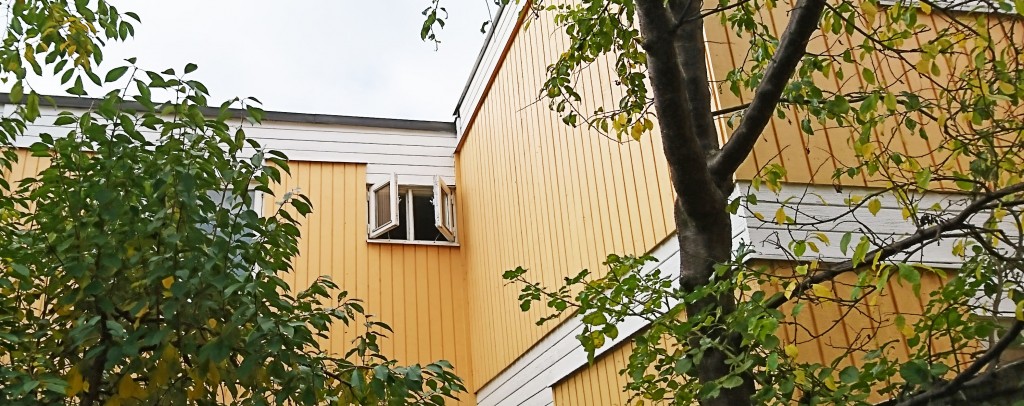 fonsterliten