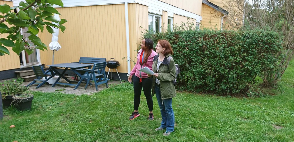 vaxtvandringliten
