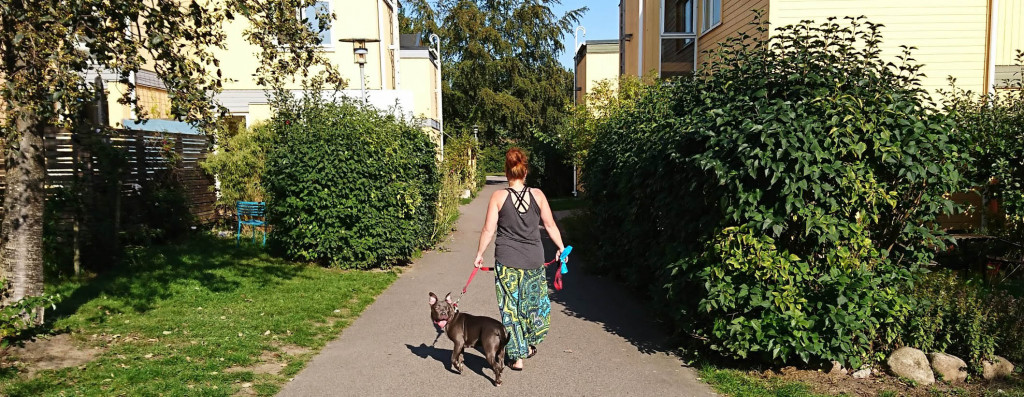 hund4