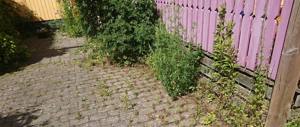 ogräs2liten