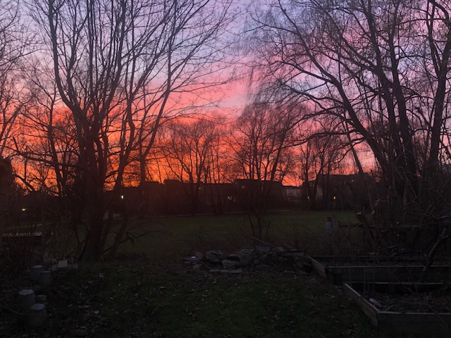solnedgång